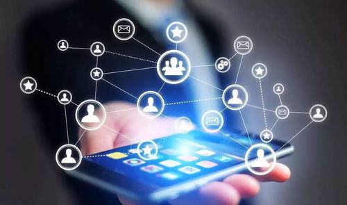 科技与商业的哀悼与转型 行业巨变中的挑战与未来